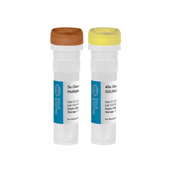 SOLIScript® 1-step Multiplex Probe Kit